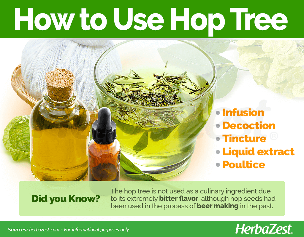 How to Use Hop tree