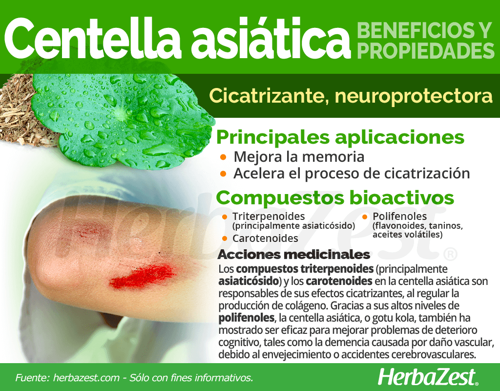 Beneficios y propiedades de la centella asiática