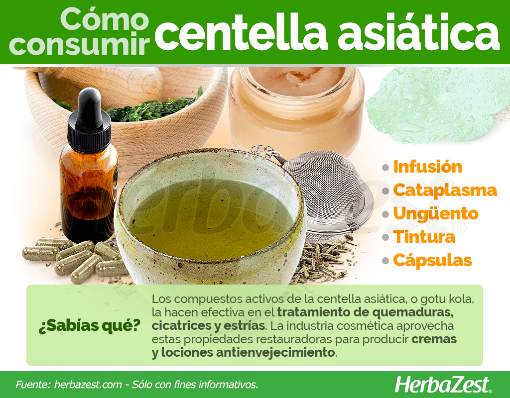 Cómo consumir centella asiática