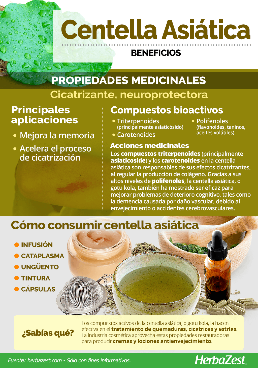 Beneficios de la centella asiática