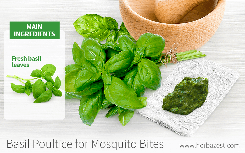 Basil Poultice for Mosquito Bites