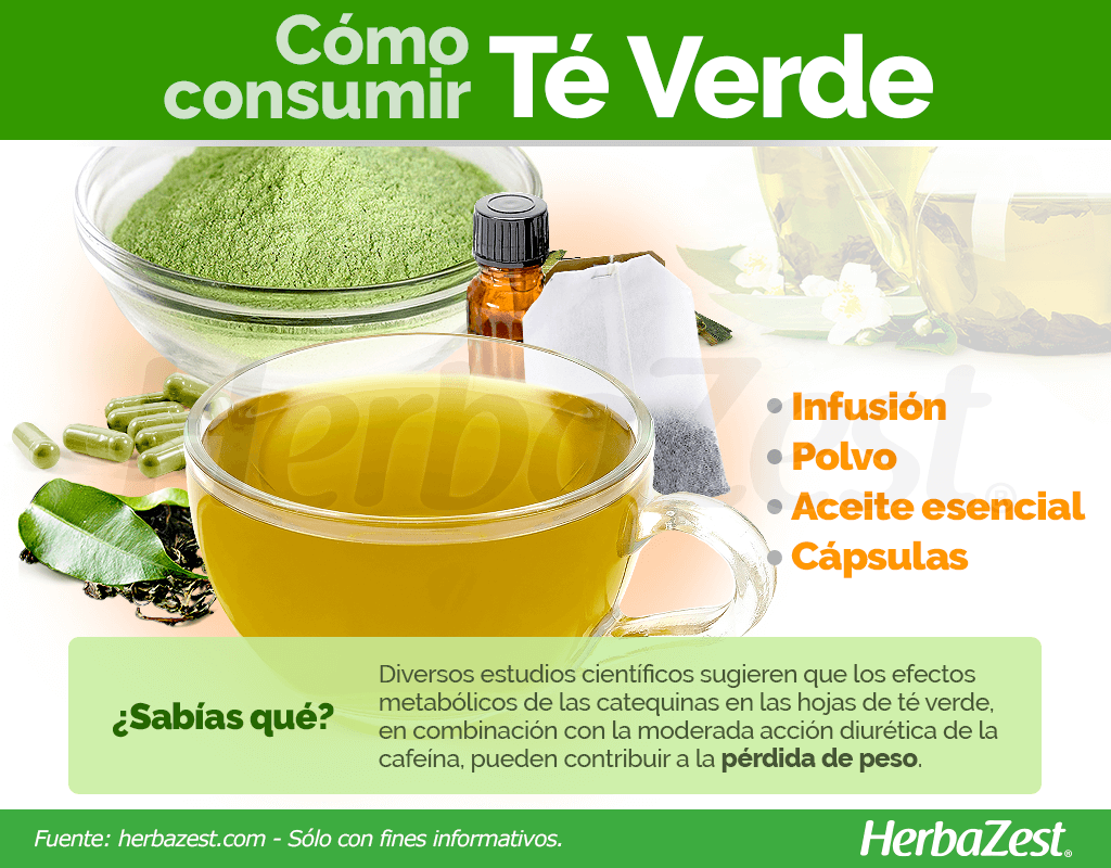 Cómo consumir té verde