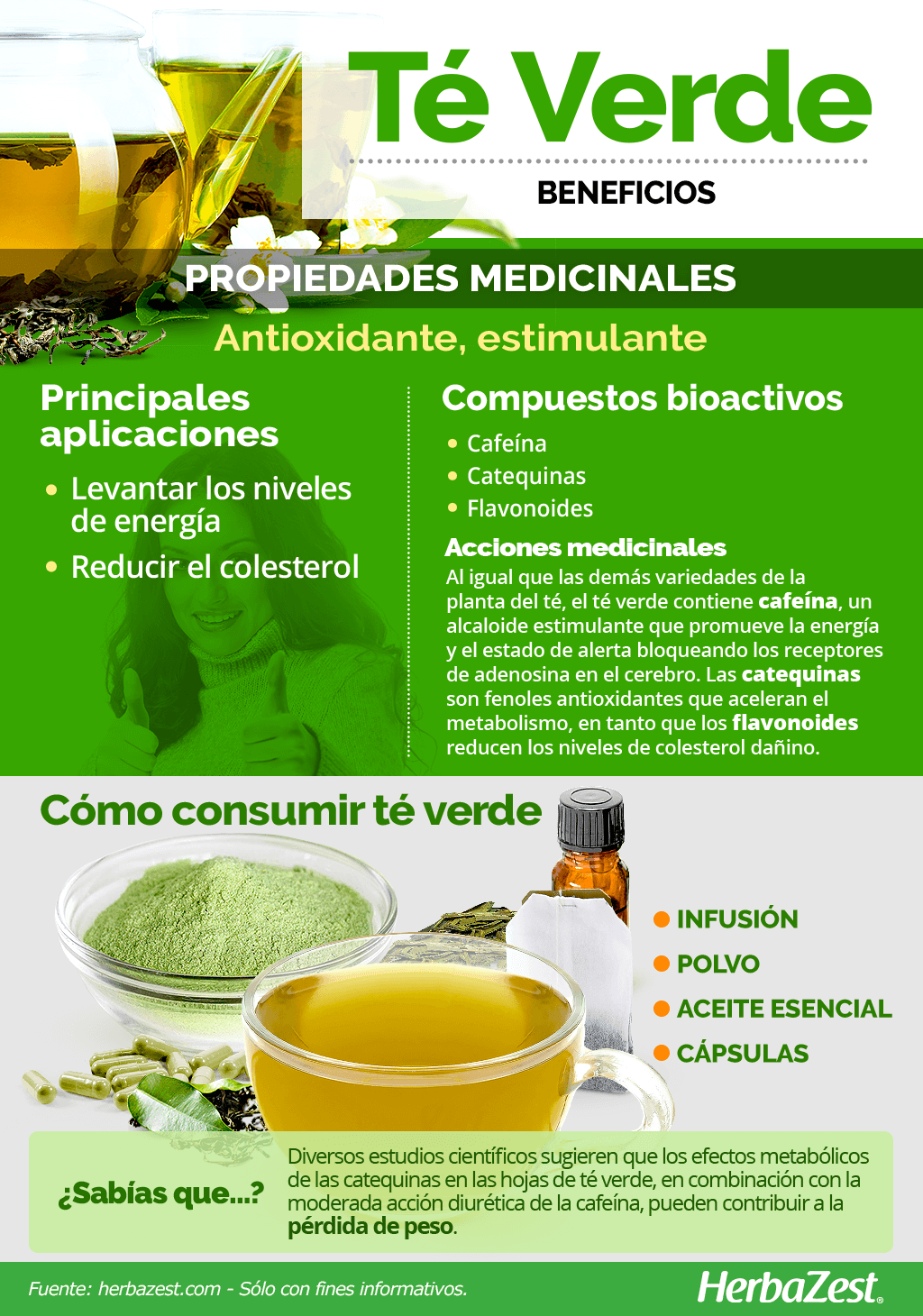 Qué es el polvo de té verde y cómo se usa?