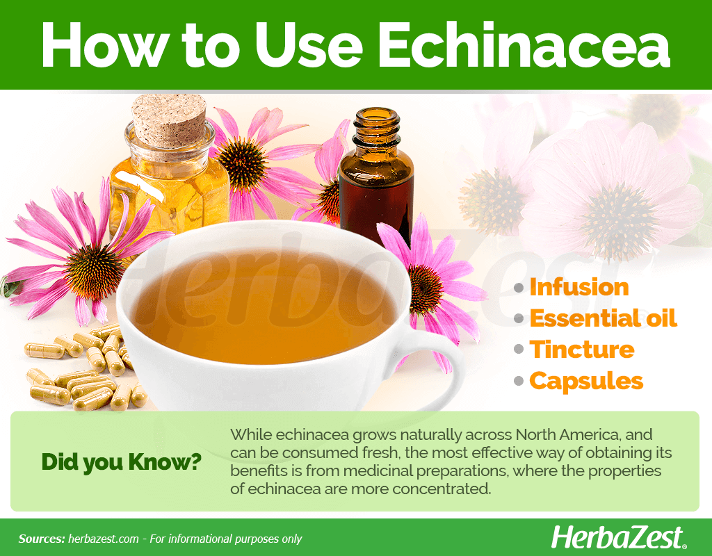 How to Use Echinacea