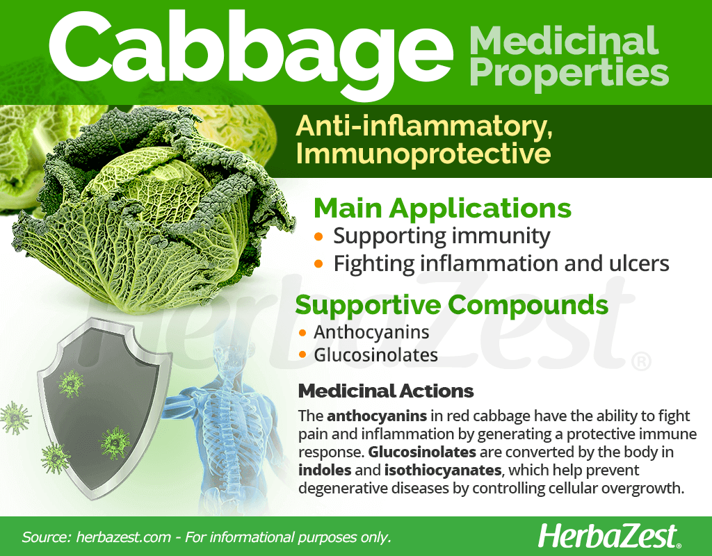 Cabbage Medicinal Properties