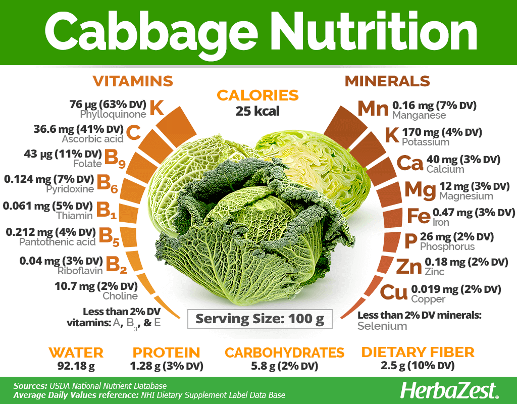Cabbage Nutrition