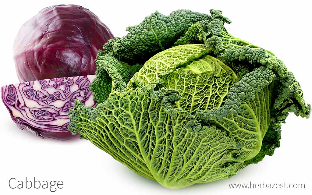 Cabbage