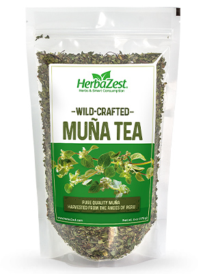 Muña Tea