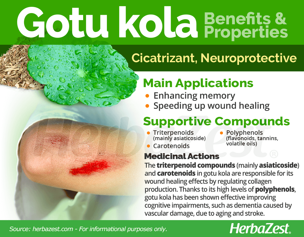 Gotu Kola Benefits and Properties