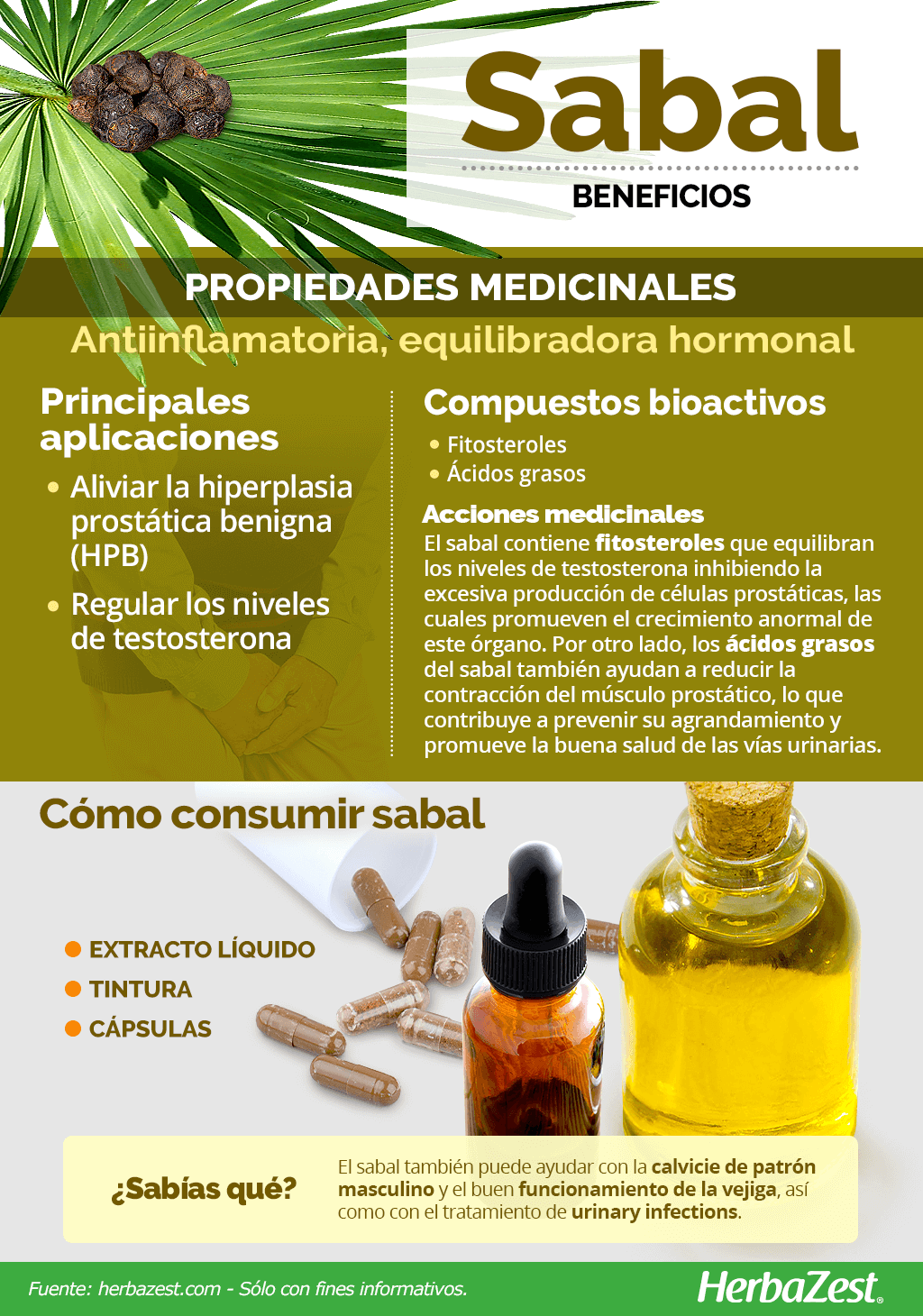 Beneficios del sabal