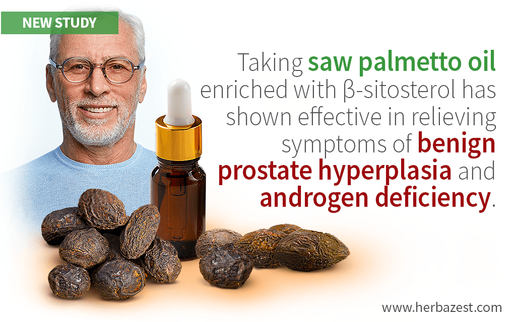 Saw Palmetto May Be Used to Treat Benign Prostate Hyperplasia