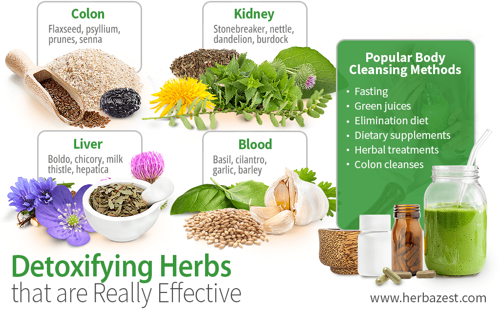 Detoxifying herbs that are really effective