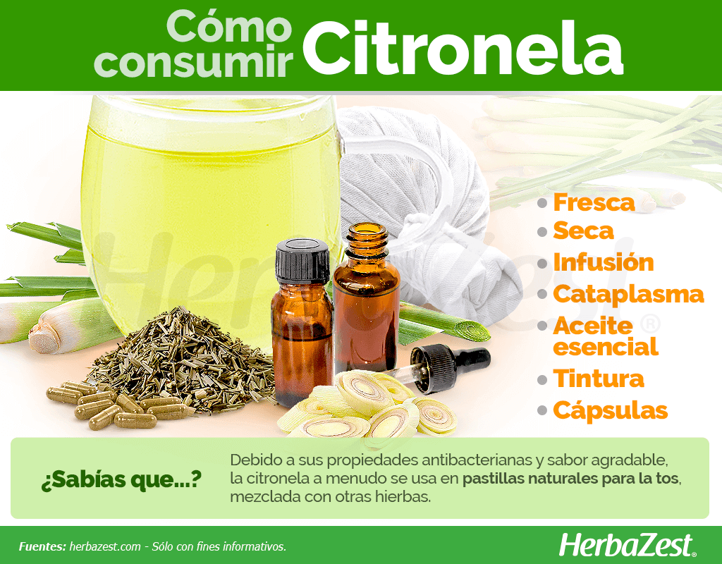 Cómo consumir citronela