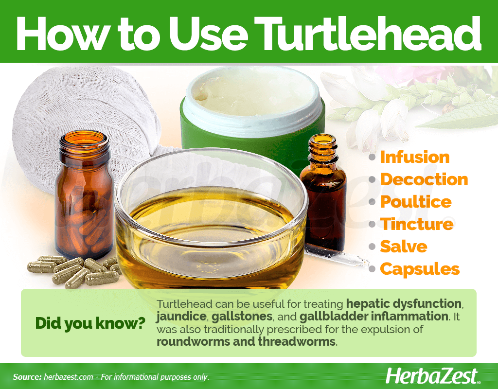 How to Use Turtlehead