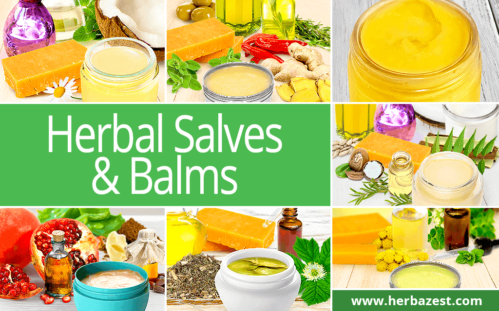 Herbal Salves & Balms