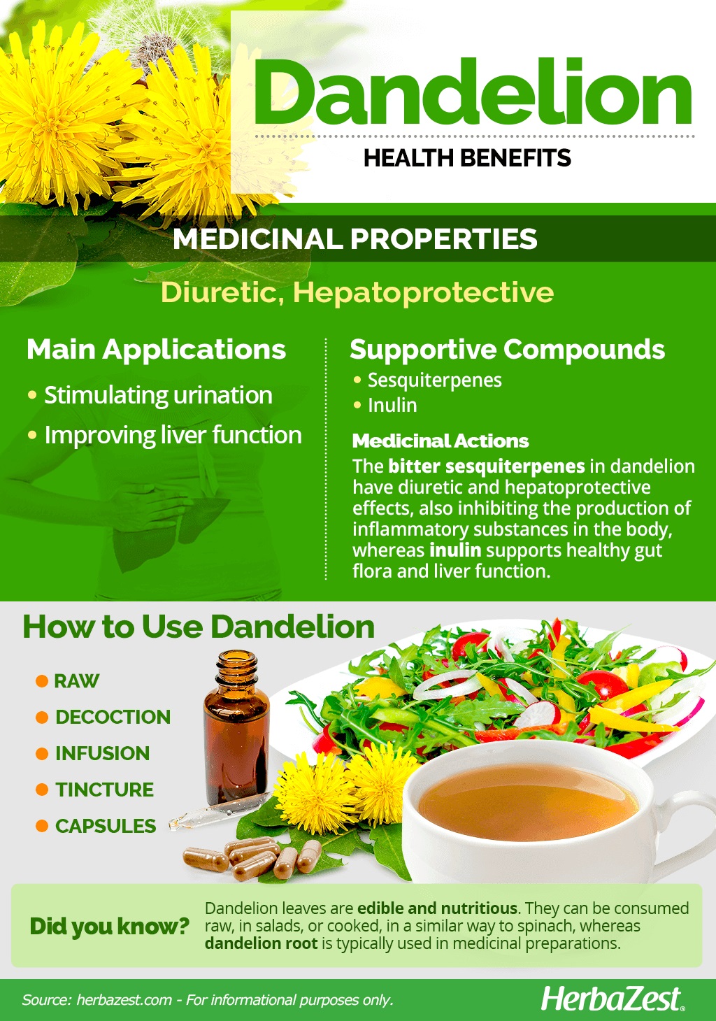 All About Dandelion
