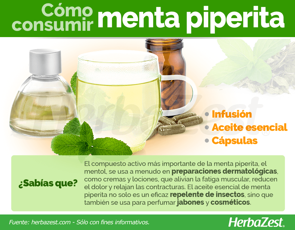 Cómo consumir menta piperita