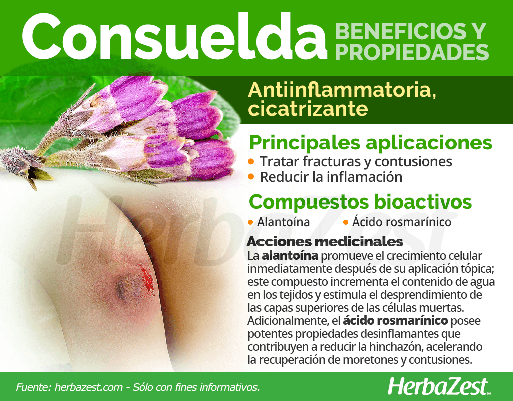 Beneficios y propiedades de la consuelda