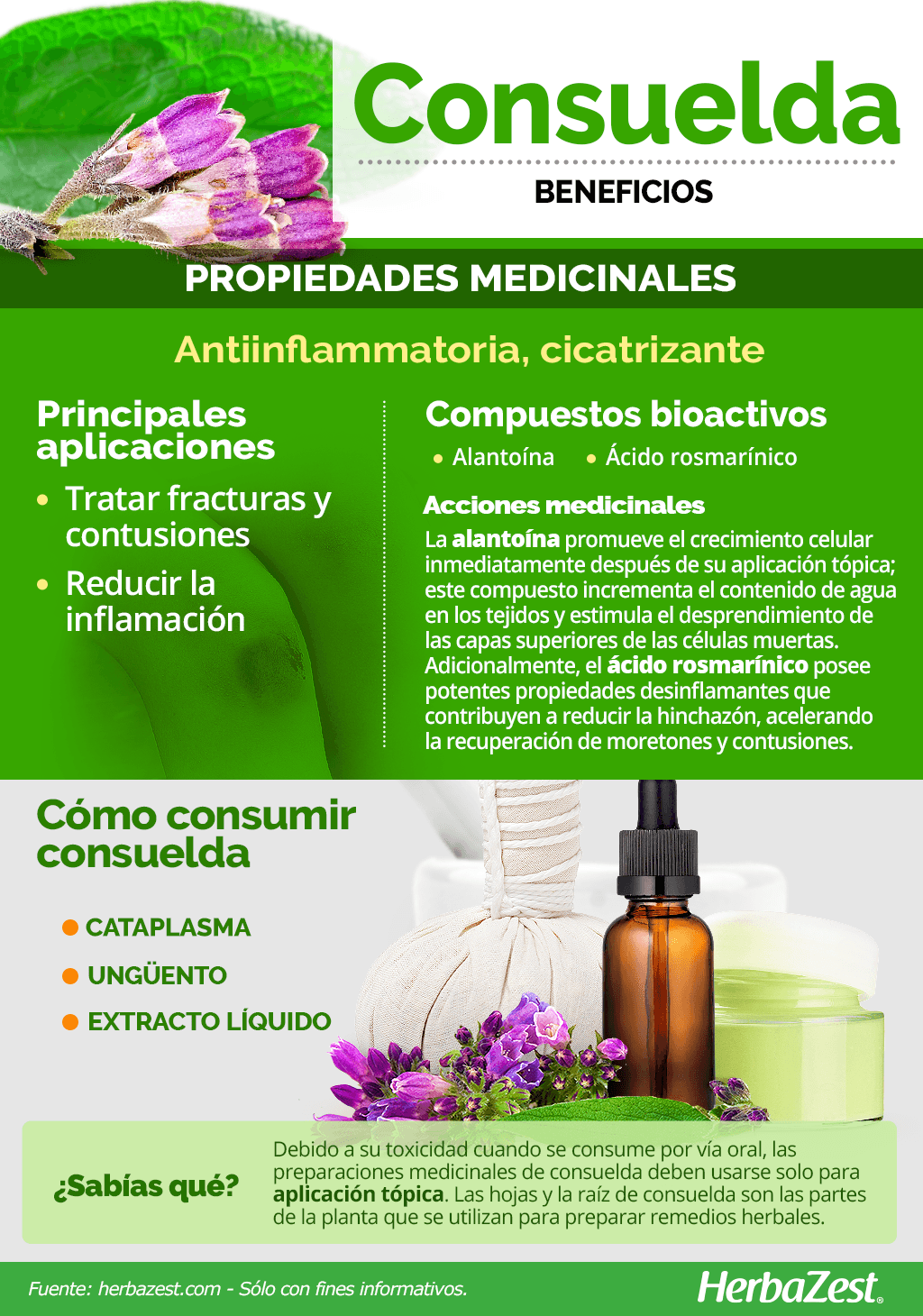 Beneficios de la consuelda