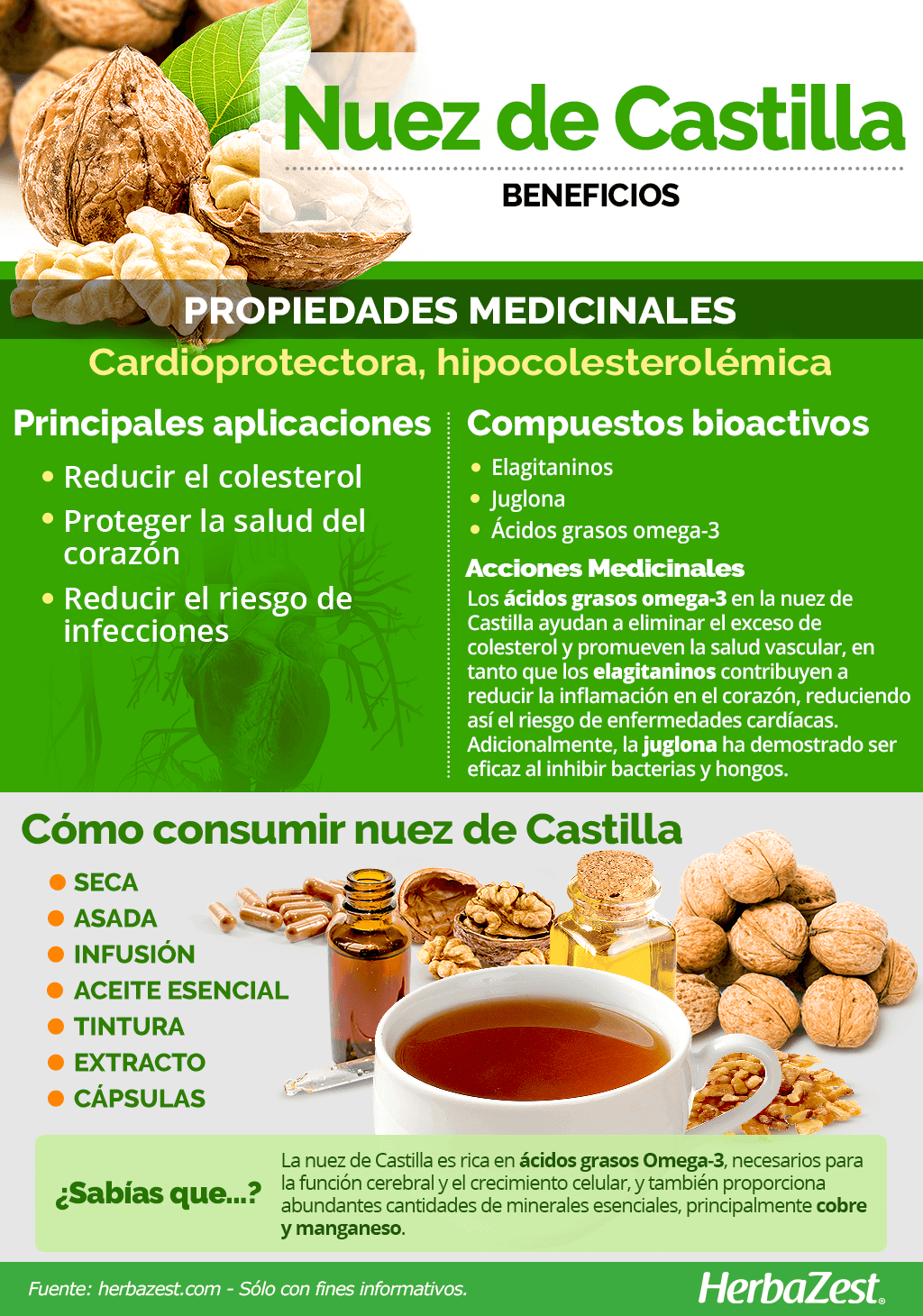 Beneficios de la nuez de Castilla