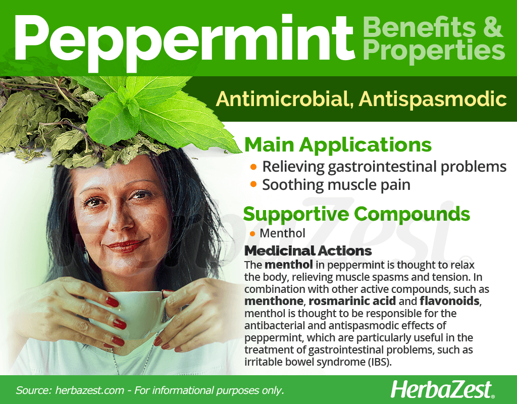 Peppermint Benefits and Properties