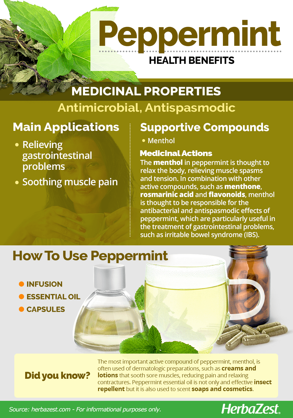 All About Peppermint