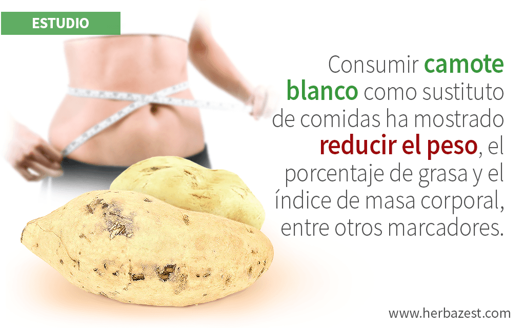 El camote blanco puede facilitar la pérdida de peso