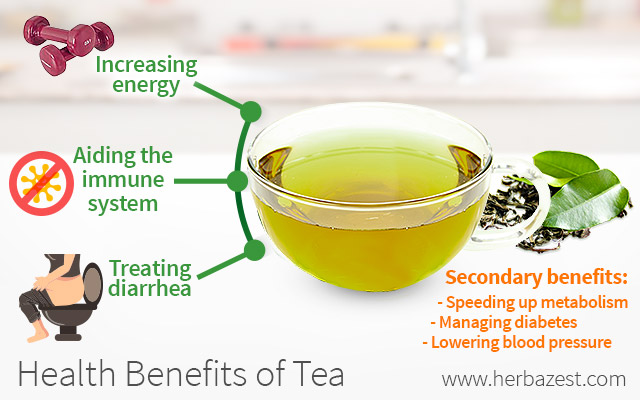 research on health benefits of tea