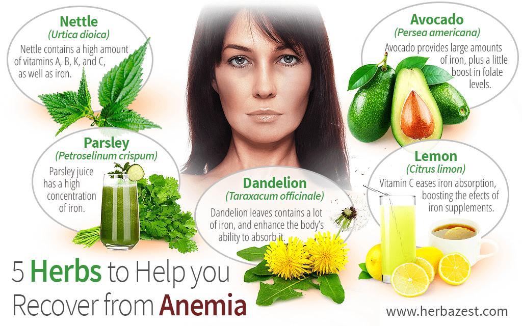 5 Herbs to Help You Recover from Anemia