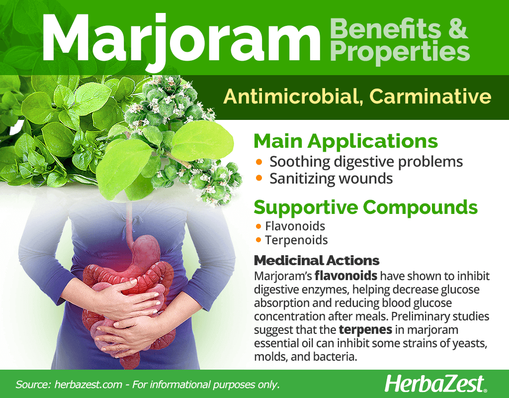 Marjoram Benefits & Properties