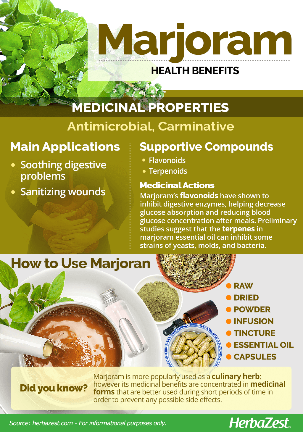 All About Marjoram