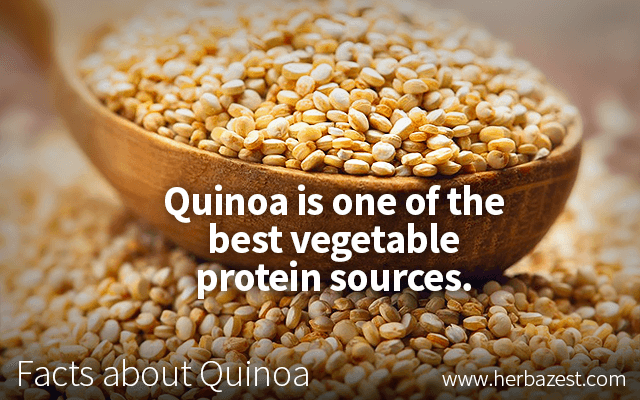 Facts about Quinoa