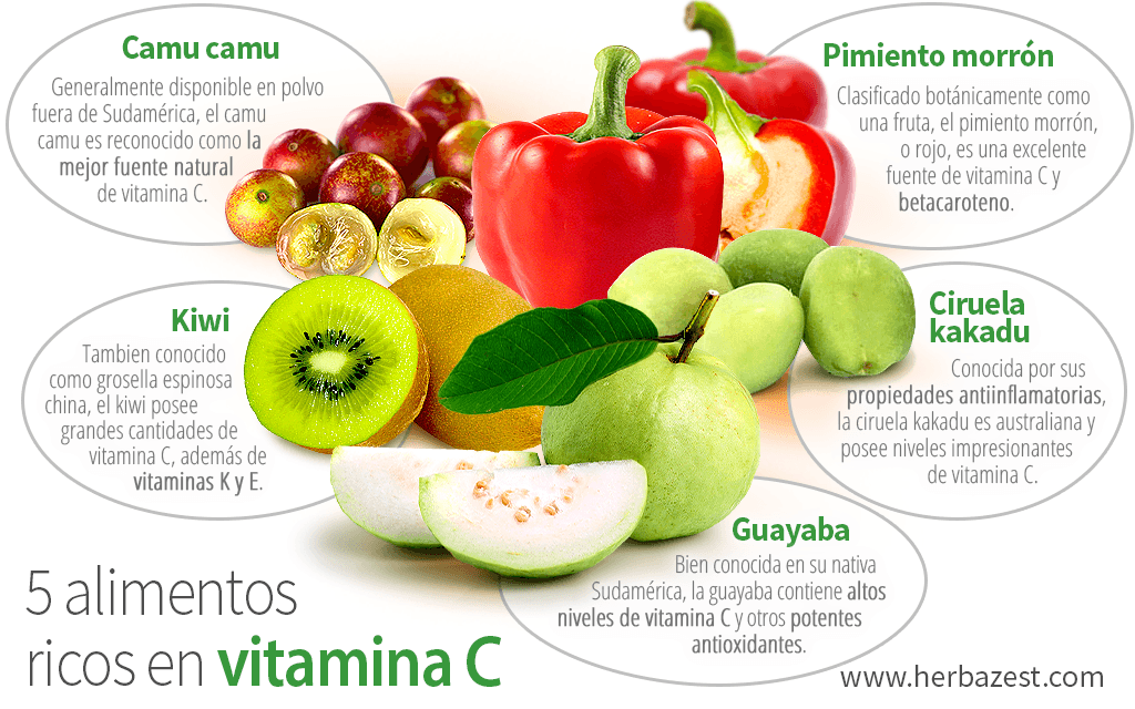 5 alimentos ricos en vitamina C