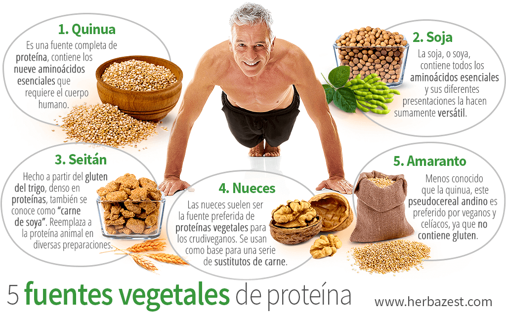 5 fuentes vegetales de proteína