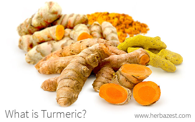 What is Turmeric?