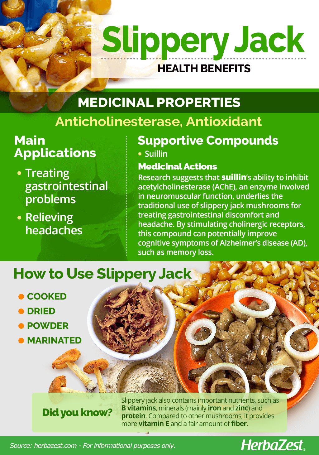 All About Slippery Jack