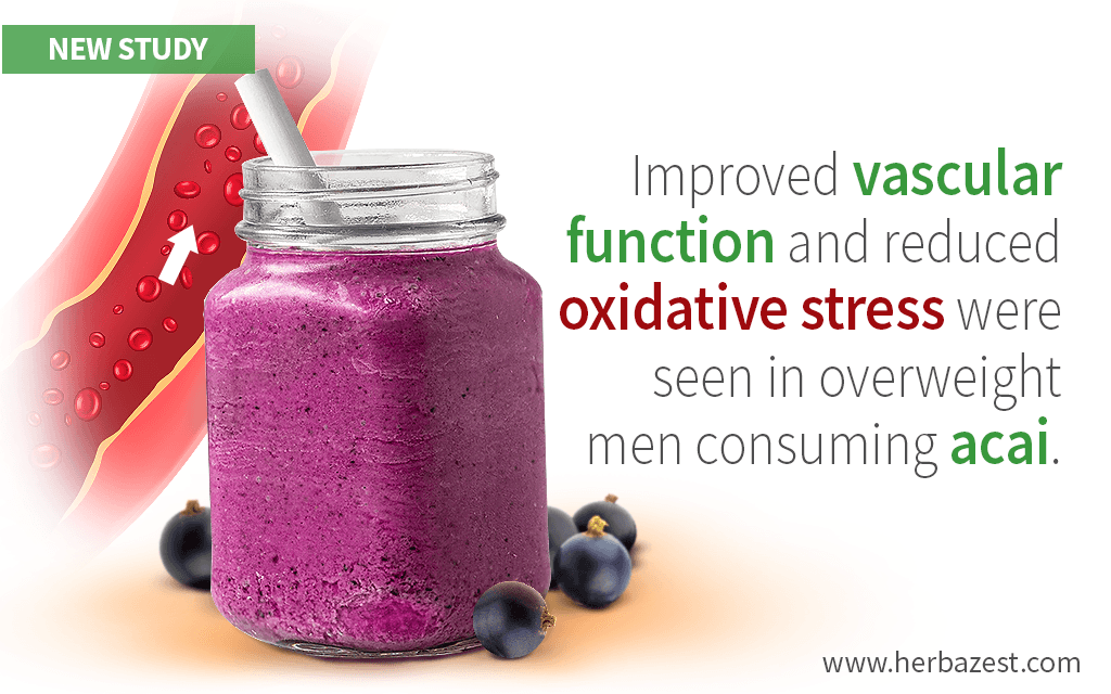 Cardiovascular Risks May Be Reduced by Consuming Acai