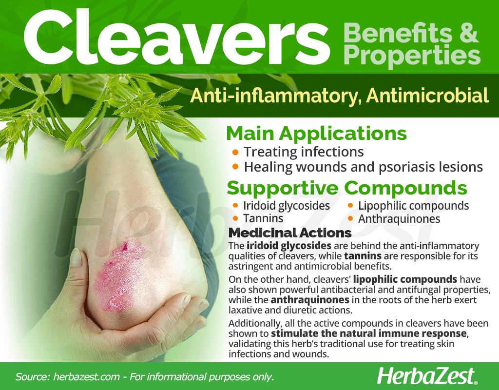 Cleavers Benefits and Properties
