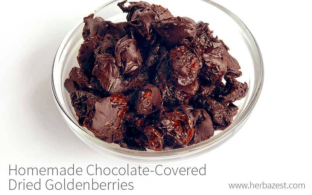 Homemade Chocolate-Covered Dried Goldenberries