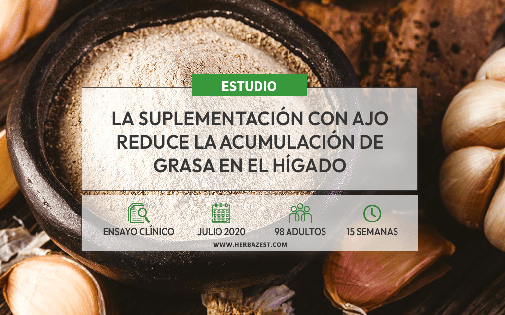 Demuestran los beneficios del ajo para el hígado graso no alcohólico