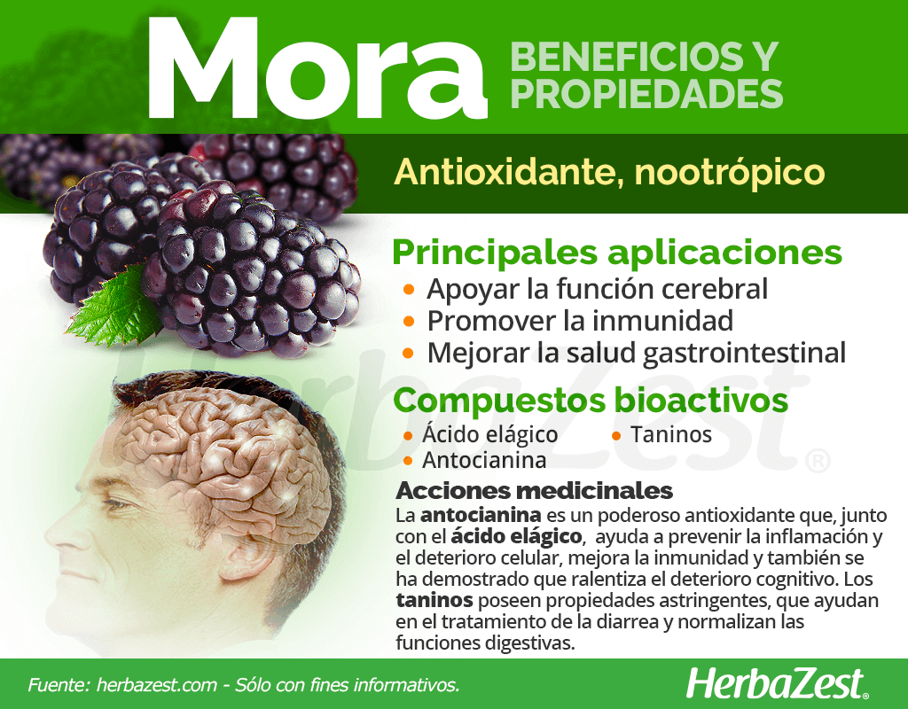 Beneficios y propiedades de la mora