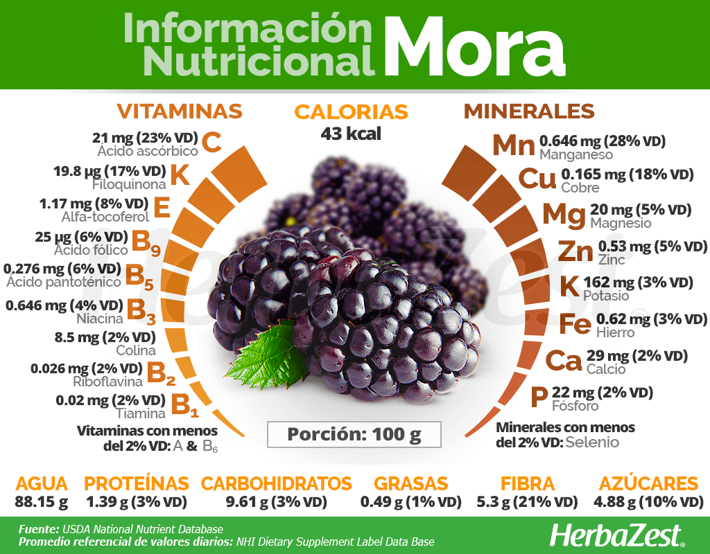 Información nutricional de la mora