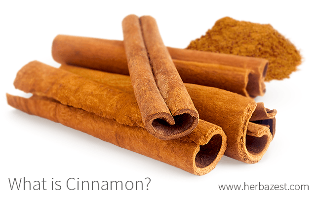 What is Cinnamon?