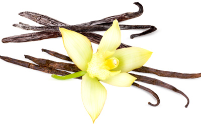 Vanilla