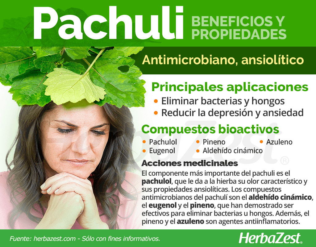 Beneficios y propiedades del pachuli