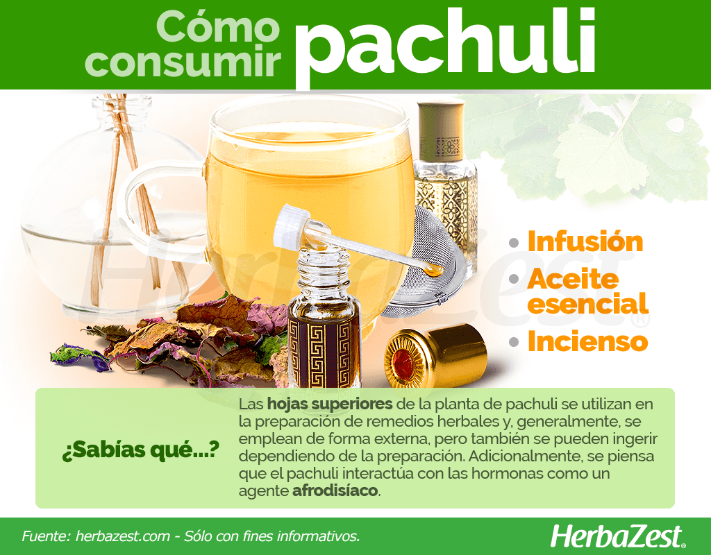 Cómo consumir pachuli