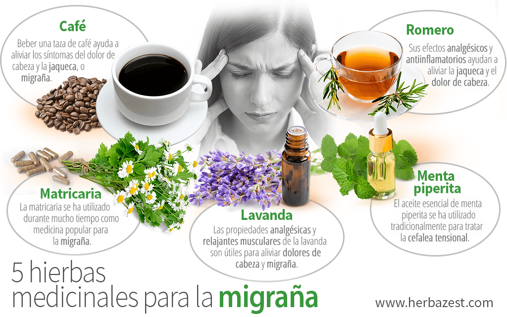 5 hierbas medicinales para la migraña