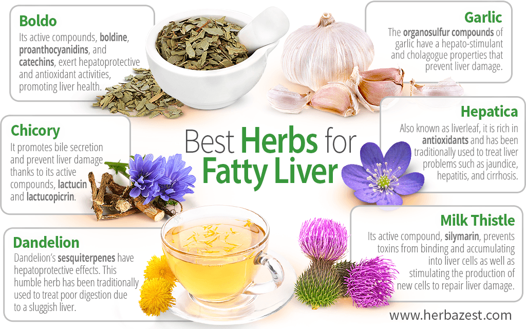 Best Herbs for Fatty Liver
