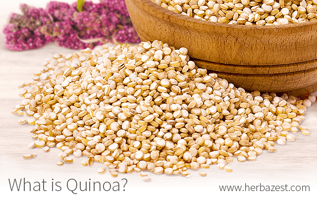 What is Quinoa?