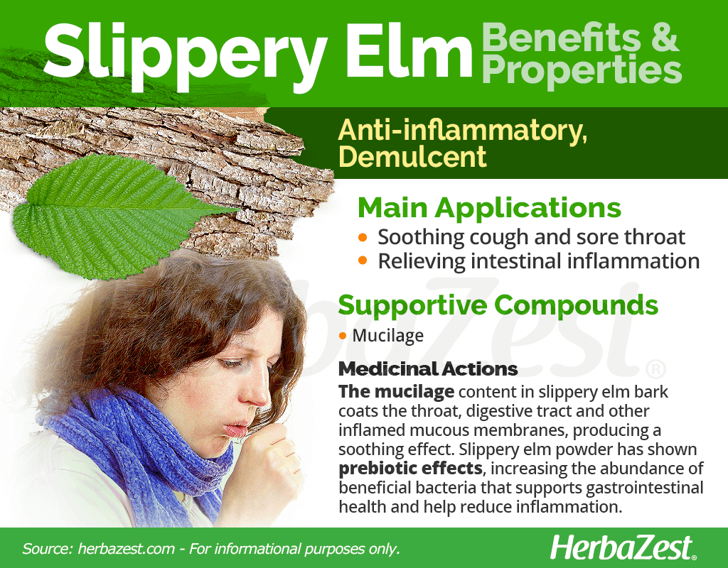 Slippery Elm Benefits and Properties